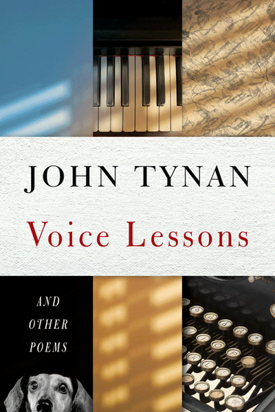 Voice Lessons Cover